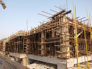 新校建设施工现场系列报道之一 基础施工篇